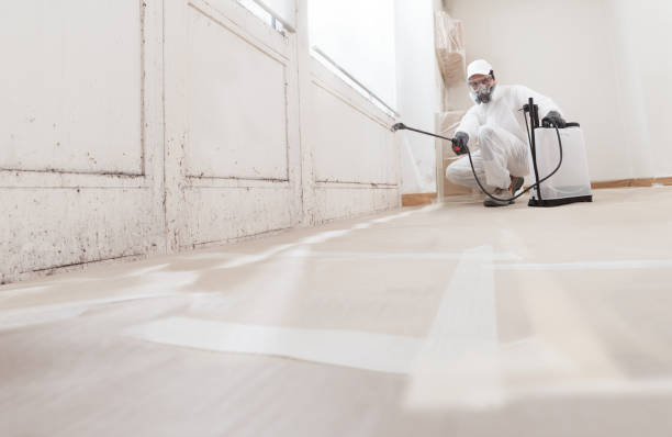 24/7 Emergency Commercial Mold Remediation experts in Augusta, MI