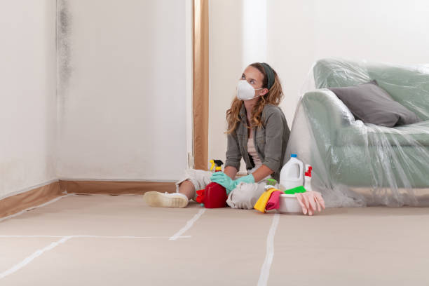 Reliable Commercial Mold Remediation contractor in Augusta, MI by WQB Mold Removal